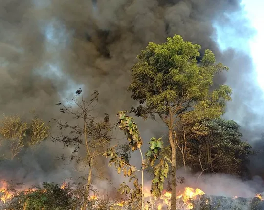 ଲିଭୁନି ପ୍ଲାଷ୍ଟିକ୍‌ ଫ୍ୟାକ୍ଟ୍ରି ନିଆଁ, ୨୪ଘଣ୍ଟା ହେଲା ଉଦ୍ୟମ ଜାରି ରଖିଛନ୍ତି ଅଗ୍ନିଶମ କର୍ମଚାରୀ