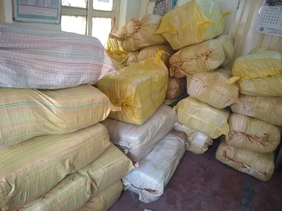 ଗଜପତିରୁ ଉତ୍ତରାଖଣ୍ଡ ଗଂଜେଇ ଚାଲାଣ : ବ୍ରହ୍ମପୁରରେ ଅବକାରୀ ଧରିଲା ୧୧କ୍ବିଣ୍ଟାଲ୍‌