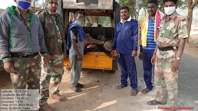 ଅଟୋରୁ ୧୭୫ କେଜି ସମ୍ବର ମାଂସ ଜବତ, ଜଣେ ଗିରଫ