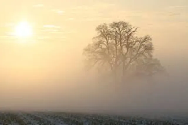 ଆଗାମୀ ଦୁଇଦିନ ପାଗ ଶୁଖିଲା ରହିବା ସହିତ ଏସବୁ ସ୍ଥାନରେ ମଧ୍ୟମ କୁହୁଡି ହେବାର ରହିଛି ସମ୍ଭାବନା