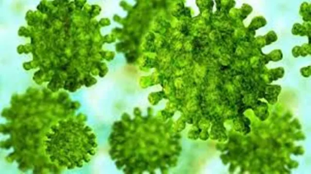 ଆଜି ସୁନ୍ଦରଗଡ଼ରୁ ସର୍ବାଧିକ କରୋନା ଆକ୍ରାନ୍ତ ସୁସ୍ଥ