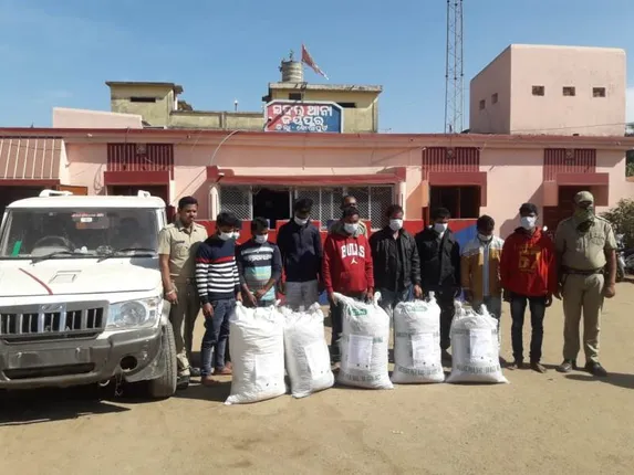 ୧୦ଲକ୍ଷ ଟଙ୍କାର ଗଞ୍ଜେଇ ଜବତ; ଉତ୍ତରପ୍ରଦେଶକୁ ହେଉଥିଲା ଚାଲାଣ, ୯ ଚାଳାଣକାରୀ ଗିରଫ