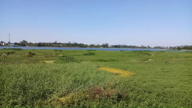 ବ୍ରହ୍ମପୁରର ରାମ‌ଲିଙ୍ଗେଶ୍ବର ପାର୍କ ପରି ଜଗନ୍ନାଥସାଗର କେବେ ପାଲଟିବ?