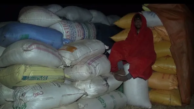 ସପ୍ତାହ ହେବ ମଣ୍ଡିରେ ଶୀତକାକରରେ ଧାନ ଧରି ଜଗି ବସିଛି ଚାଷୀ