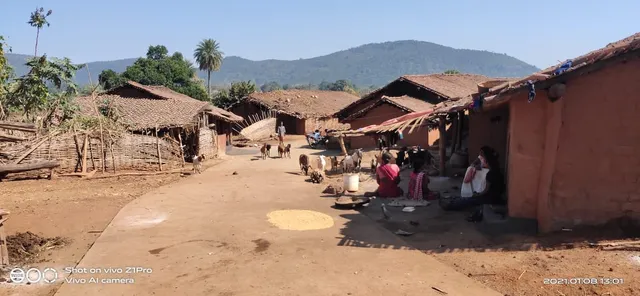 ଘୋଡ଼ା ୬ ଟଙ୍କାକୁ ଦାନା ୯ ଟଙ୍କା: ଟଙ୍କିକିଆ ଚାଉଳ ପାଇଁ ୨୦୦ ଶହ ଟଙ୍କା ଖର୍ଚ୍ଚ କରନ୍ତି ଗରିବ ହିତାଧିକାରୀ