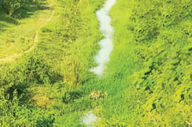 ନୟାଗଡ଼ ଜିଲ୍ଲାରେ କାଗଜପତ୍ରରେ ମାଡ଼ୁଛି ପାଣି