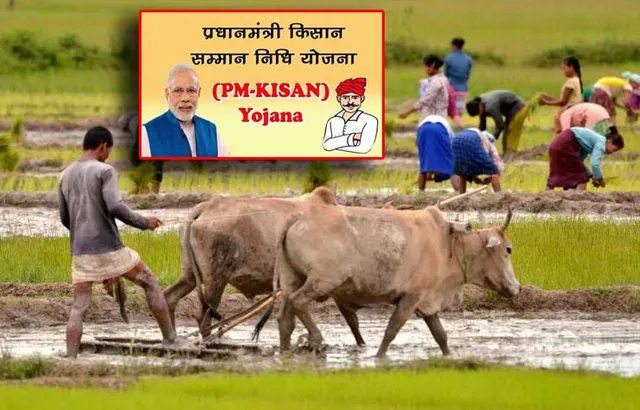 ଓଡ଼ିଶାରେ ପିଏମ୍‌ କିଷାନ ଯୋଜନା: ଦ୍ବିତୀୟ କିସ୍ତିରେ କମିଛି ହିତାଧିକାରୀ ସଂଖ୍ୟା