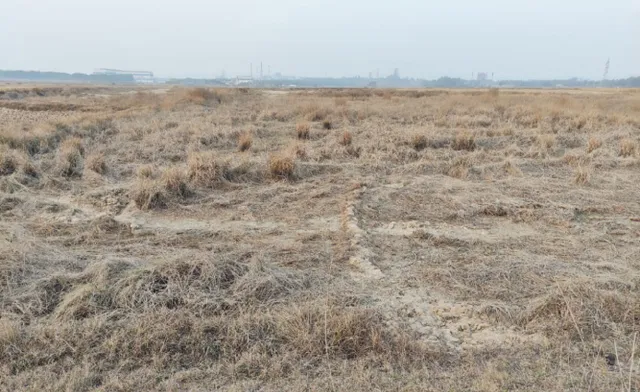 ୧୦୯୯ ଏକର ଜମି ନେଇଗଲେ, ଦେଲେନି ଟଙ୍କା : ଶିଳ୍ପ କରିଡର୍‌ ନାଁରେ ଭୁଆଁ ବୁଲାଇଲେ