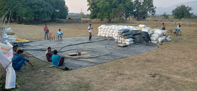 ବିନିକା ଅଞ୍ଚଳରେ ଧାନର ଅଭାବୀ ବିକ୍ରି, କୁଇଣ୍ଟାଲରେ ସାଢ଼େ ୭ଶହ ଟଙ୍କା କ୍ଷତି ସହୁଛି ଚାଷୀ