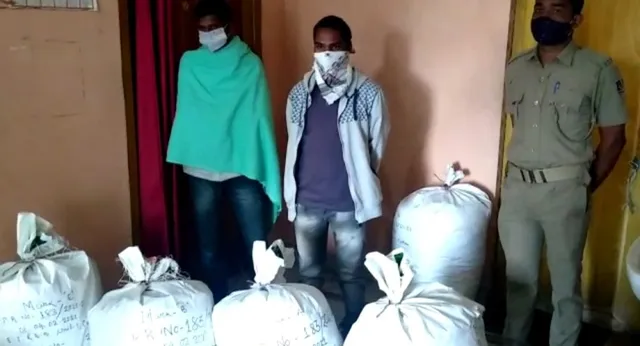 ମଙ୍ଗୁଳି ଛକରୁ ଗଞ୍ଜେଇ ଜବତ: ୨ ଅଭିଯୁକ୍ତ ଅଟକ