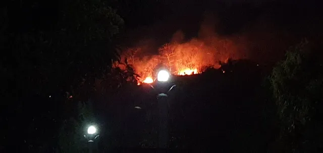 ଭଞ୍ଜନଗର ସୋରାଦେବୀ ଜଙ୍ଗଲରେ ନିଆଁ 