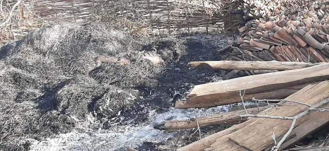 ପାଳ ଗଦାରୁ ଅର୍ଦ୍ଧଦଗ୍ଧ ମୃତଦେହ ଉଦ୍ଧାର, ହତ୍ୟା ସନ୍ଦେହ