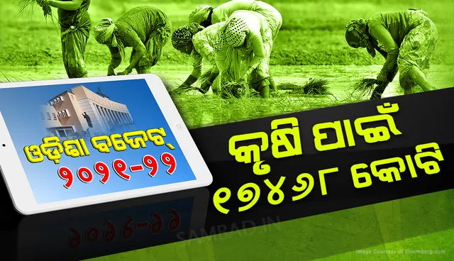 ୧୭,୪୬୮ କୋଟିର  କୃଷି ବଜେଟ୍, କାଳିଆ ଯୋଜନା ପାଇଁ ୧୮ଶହ କୋଟି