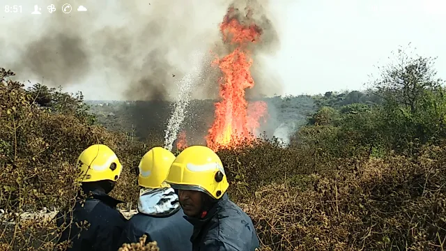ରାଜ୍ୟ ଉଦ୍ଭିଦ ଉଦ୍ୟାନରୁ ନିଆଁ ଲିଭିଲା