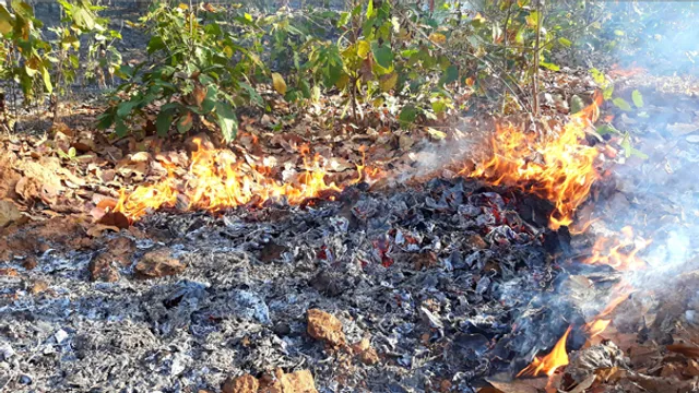 ଜଙ୍ଗଲ ଜଳୁଛି, ବନ ବିଭାଗ ନିରବଦ୍ରଷ୍ଟା : ନିଆଁଲିଭା ଖର୍ଚ୍ଚ ବାବଦକୁ ୩୦ ଲକ୍ଷ ଟଙ୍କା ଚଳୁ!