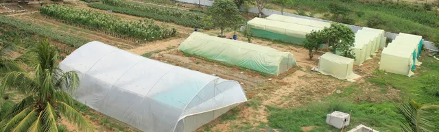 ବଲାଙ୍ଗୀରରେ ଦ୍ବିତୀୟ କୃଷି ବିଶ୍ବବିଦ୍ୟାଳୟ କେବେ?