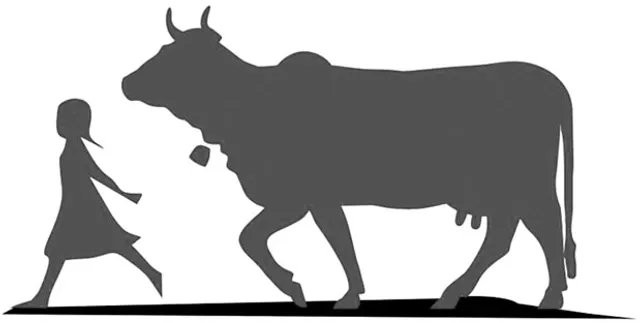 ଦେଶୀ ଗାଈ ଗବେଷଣା