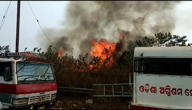ନନ୍ଦନକାନନ ବଟାନିକାଲ ଗାର୍ଡେନ ପରିସରରେ ଭୟାବହ ଅଗ୍ନିକାଣ୍ଡ
