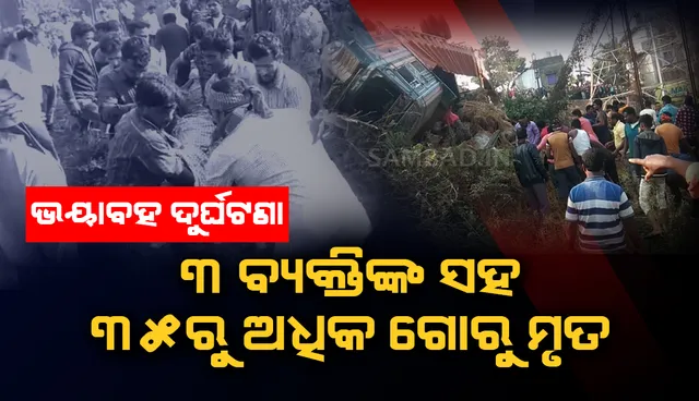 ବୋଲେରୋକୁ ଧକ୍କା ଦେଲା ଗୋରୁବୋଝେଇ କଣ୍ଟେନର୍: ଗାଡ଼ି ଭିତରେ ଚାପି ହୋଇ ୩ ବ୍ୟକ୍ତିଙ୍କ ସମେତ ୩୫ରୁ ଊର୍ଦ୍ଧ୍ବ ଗୋରୁ ମୃତ