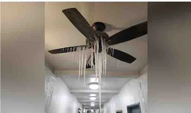 ଆଶ୍ଚର୍ଯ୍ୟ! ପ୍ରବଳ ଥଣ୍ଡା ହେତୁ ପଙ୍ଖାରେ ବି ଜମିଗଲା ବରଫ