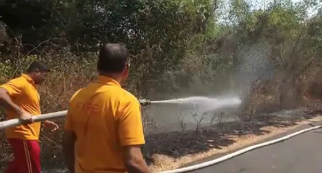 ଜଙ୍ଗଲରେ ନିଆଁ, ଅଳ୍ପକେ ରକ୍ଷା ପାଇଲା ଗାଁ