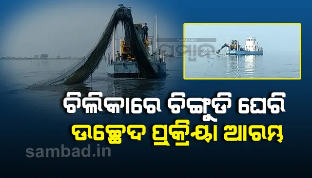 ଚିଲିକା ଗଡ଼ ଜେଟିରୁ ବେଆଇନ ଚିଙ୍ଗୁଡ଼ି ଘେରି ଉଚ୍ଛେଦ ପ୍ରକ୍ରିୟା ଆରମ୍ଭ, ୬ଦିନ ଧରି ଚାଲିବ ଅଭିଯାନ