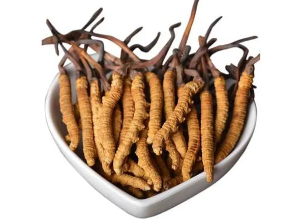 ଅରୁଣାଚଳର ପ୍ରେମ-ଫୁଲ