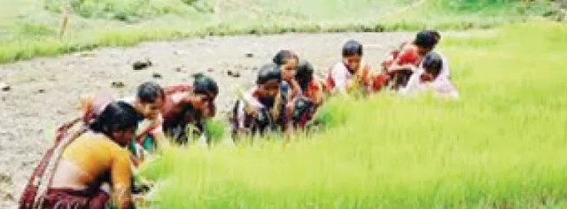 ଉପା ତୁଳନାରେ ମୋଦୀ ସରକାର କୃଷିକୁ ଦେଇଛି ୪୩୮% ଅଧିକ ଅର୍ଥ