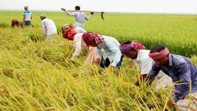 ଚାଷୀଙ୍କ ଆୟ ଦୁଇଗୁଣ ହେଲା କି? ଆଜି ଉପସ୍ଥାପନ ହେବ ବଜେଟ୍, ପ୍ରଶ୍ନ କଲେଣି ବିଶେଷଜ୍ଞ