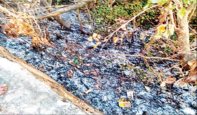 ଧବଳେଶ୍ବର ପାର୍ଶ୍ବ ଜଙ୍ଗଲରେ ନିଆଁ