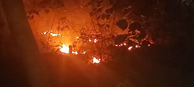 କୋଇପଶି, ବାଘୁଆସାହି ଓ ତଳଙ୍ଗି ଜଙ୍ଗଲରେ ନିଆଁ