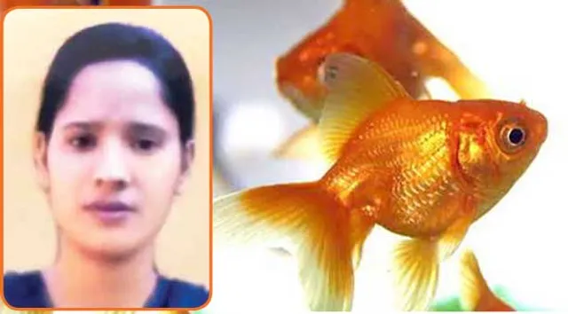 ରଙ୍ଗିନ ମାଛଚାଷ ଦେଇଛି ସ୍ୱତନ୍ତ୍ର ପରିଚୟ : ଲାଣ୍ଡିଝରି ଗାଁ ନକ୍ସା ବଦଳାଇଲେ ଜୀବେଶ୍ୱରୀ