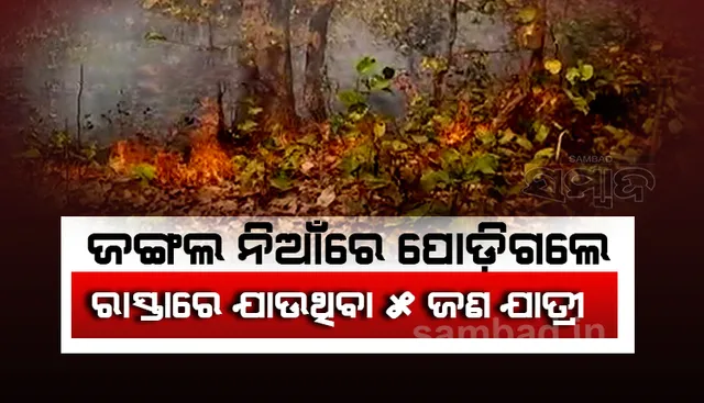 ଜଙ୍ଗଲ ଅଚାନକ ପବନ ବହିବା ଯୋଗୁଁ ମାଡି ଆସିଥିଲା ନିଆଁ ଓ ଧୂଆଁ, ପୋଡିଗଲେ ରାସ୍ତାରେ ଯାଉଥିବା ୫ ଜଣ ଯାତ୍ରୀ