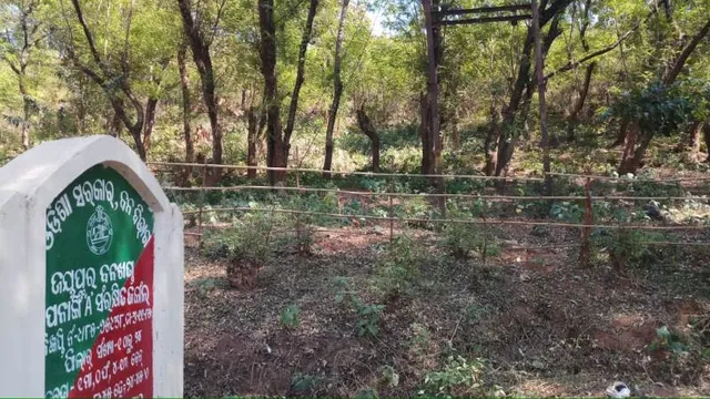 ଦୀପ ତଳ ଅନ୍ଧାର; ଜବରଦଖଲକାରୀଙ୍କ କବଜାରେ ପୋନାଙ୍ଗୀ ‘ଏ’ ସଂରକ୍ଷିତ ଜଙ୍ଗଲ