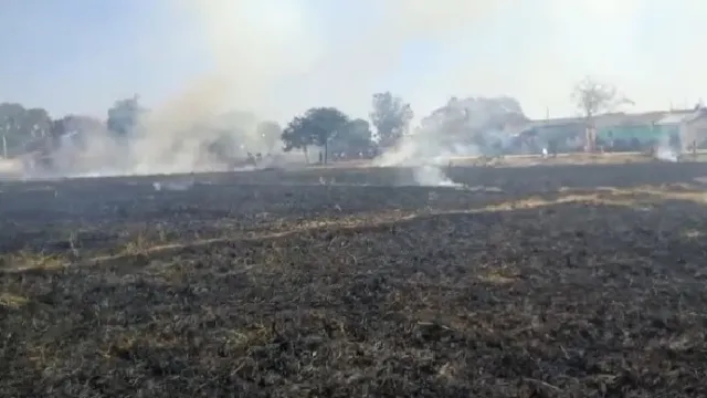 ବିଲରେ ନିଆଁ ଲିଗି ଜଳିଗଲା ଅଢ଼େଇ ଏକର ରବି ଫସଲ