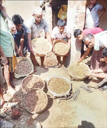 ମାଟିତଳୁ ମିଳିଲା ୭ ଝୁଡ଼ି କଉଡ଼ି