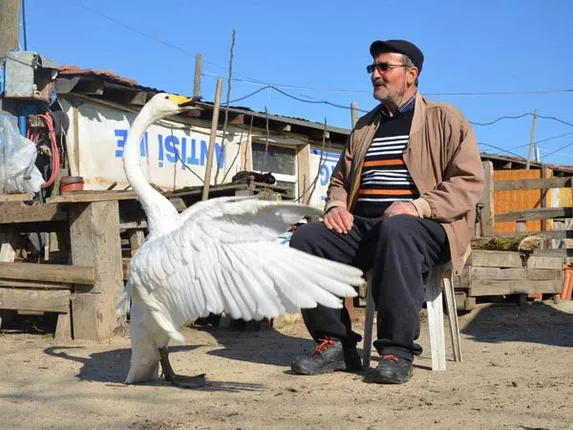 ସତତିରିଶ ବର୍ଷର ବିରଳ ବନ୍ଧୁତା