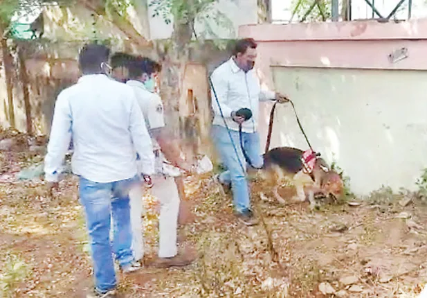 ରାଜଧାନୀ ଉପକଣ୍ଠରେ ବୀଭତ୍ସ ହତ୍ୟାକାଣ୍ଡ : ମହିଳାଙ୍କ ମୁଣ୍ଡ କାଟି ଫିଙ୍ଗିଦେଲେ