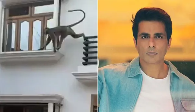 ମାଙ୍କଡ଼ ପ୍ରାଦୁର୍ଭାବରୁ ବର୍ତ୍ତିବା ପାଇଁ ସୋନୁଙ୍କୁ ଟ୍ବିଟ୍