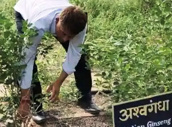 ପାରମ୍ପରିକ ଔଷଧ କ୍ଷେତ୍ରରେ ସହଯୋଗ ବୃଦ୍ଧି ଲାଗି ତାଇଓ୍ଵାନ୍‌କୁ ପାଣ୍ଠି ଯୋଗାଇଲା ଭାରତ: ରିପୋର୍ଟ