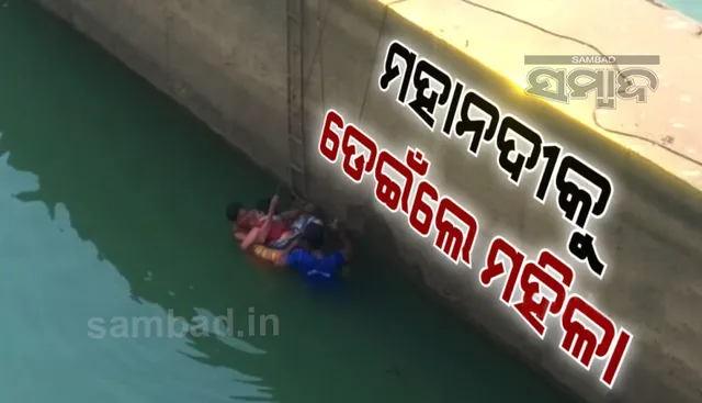 ମହାନଦୀକୁ ଡେଇଁଲେ ମହିଳା, ଉଦ୍ଧାର କଲା ଓଡ୍ରାଫ ଦଳ