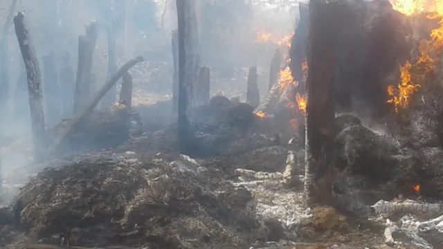 ଘାଷିମଳିହା ଗ୍ରାମରେ ଅଗ୍ନିକାଣ୍ଡ ବଳଦ ଜୀବନ୍ତ ଦଗ୍ଧ: ଅଳ୍ପକେ ବର୍ତ୍ତିଲା ଶିଶୁପୁତ୍ର