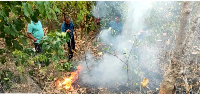 ତାତି ବଢିବା ପରେ ଜଙ୍ଗଲକୁ ପୁଣି ଫେରିଲା ନିଆଁ, ୪ ଜିଲ୍ଲାର ୩୧୭ ସ୍ଥାନରେ ଲାଗିଛି ନିଆଁ