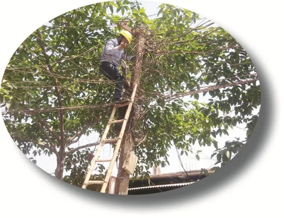 ଚୋରାରେ ବିଜୁଳି ଜାଳି ଫସିଲେ; ୧୫ବାଣିଜ୍ୟିକ ପ୍ରତିଷ୍ଠାନ ଉପରେ ୧୦ ଲକ୍ଷ ଜରିମାନା