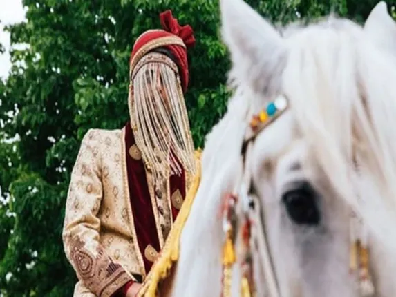 ବିବାହ ପାଇଁ କନ୍ୟା ଘରେ ପହଞ୍ଚିଲେ ୭ ବର !