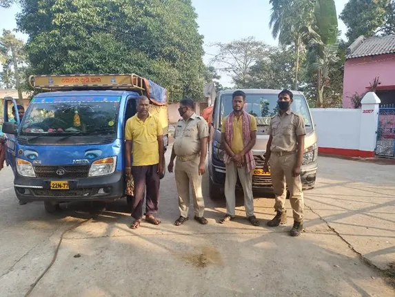 କୋଇଲା ଚାଲାଣ ବେଳେ ଦୁଇ ଗାଡ଼ି ସହ ୨ ଚାଳକ ଅଟକ; ୧୪୦ ବସ୍ତା କୋଇଲା ଜବତ