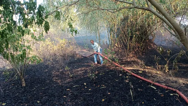 ଗଡ଼କଣ୍ଟୁଣିଅ ଗ୍ରାମ୍ୟ ଜଙ୍ଗଲରେ ନିଆଁ