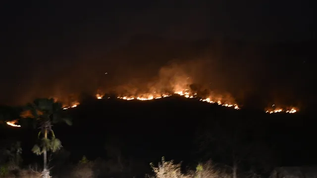 ପୁଣି ଜଳିଲା ଜଙ୍ଗଲ: ବନ ବିଭାଗର ସଚେତନ ପରେ ବି ଲୋକେ ବୁଝିଲେନି