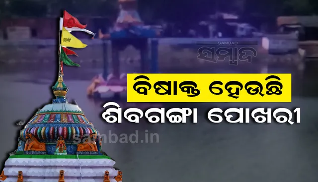 ଆରଡ଼ି ଶୈବପୀଠର ’ଶିବଗଙ୍ଗା’କୁ ଦୂଷିତ କରୁଛି ଚିଙ୍ଗୁଡ଼ି ପୋଖରୀରୁ ନିଷ୍କାସିତ ବିଷାକ୍ତ ପାଣି