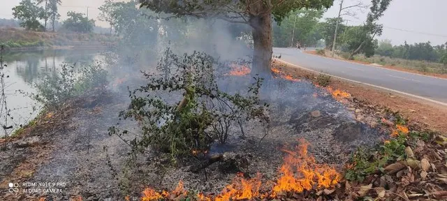 ଧବଳହାର ଗ୍ରାମ୍ୟ ଜଙ୍ଗଲରେ ନିଆଁ